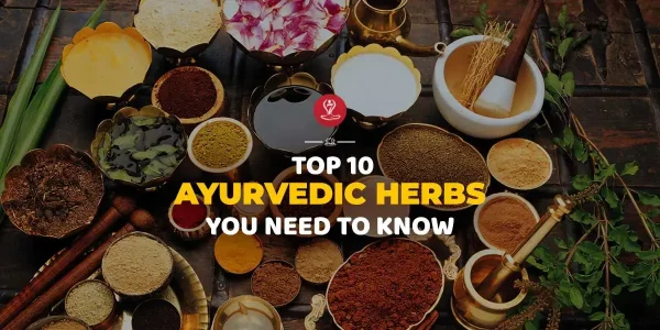 Ayurvedic herbs