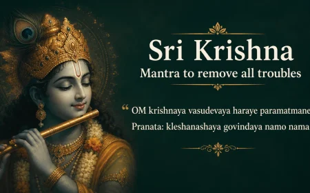 sri krishna mantra to remove all troubles.